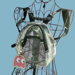 Clear Backpack with Black Accents